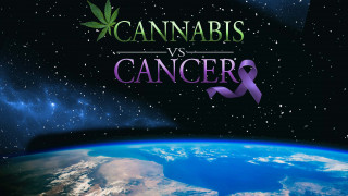 Cannabis vs Cancer (2020) Full Movie - HD 720p