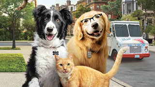 Cats & Dogs 3: Paws Unite (2020) Full Movie - HD 720p