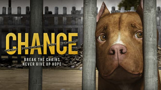 Chance (2019) Full Movie - HD 720p