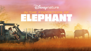 In the Footsteps of Elephant (2020) Full Movie - HD 720p