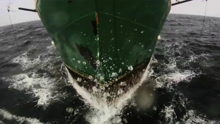 Leviathan (2012) Full Movie - HD 1080p BluRay