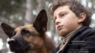 SHEPHERD: The Story of a Jewish Dog (2019) Full Movie - HD 720p