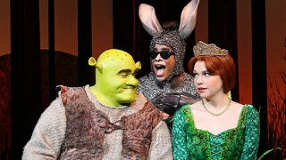 Shrek the Musical (2013) Full Movie - HD 1080p BluRay