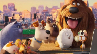 The Secret Life of Pets (2016) Full Movie - HD 720p BluRay